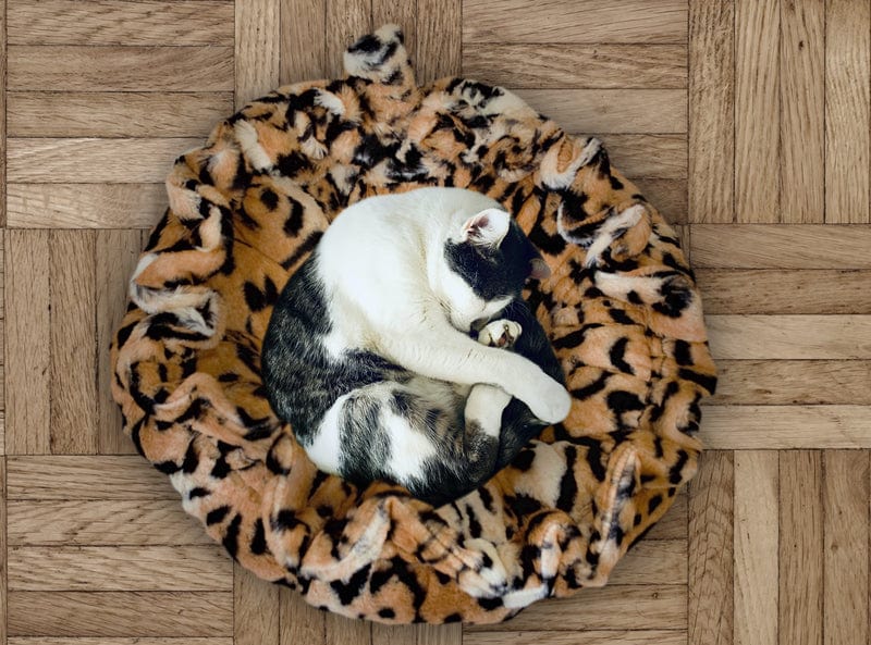 🐾 Handcrafted Lily Pod - Snuggle Haven Cat Bed 🛏