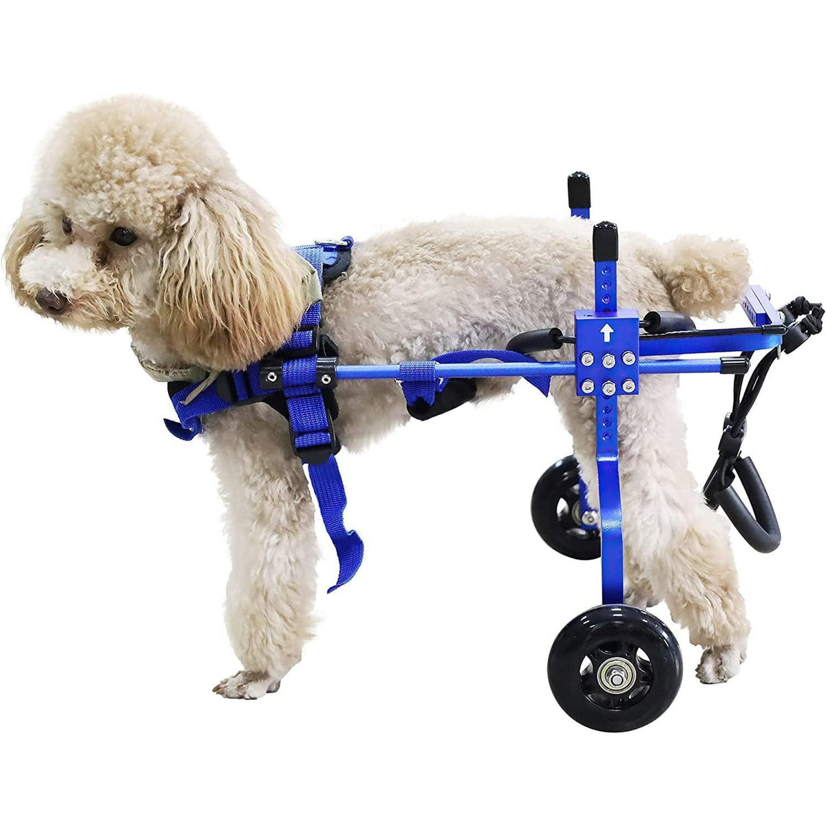 🐶 Sturdy Dual-Wheel Back Leg Dog Wheelchair ♿ Blue / X-Small Pets Paradise Pet Supplies