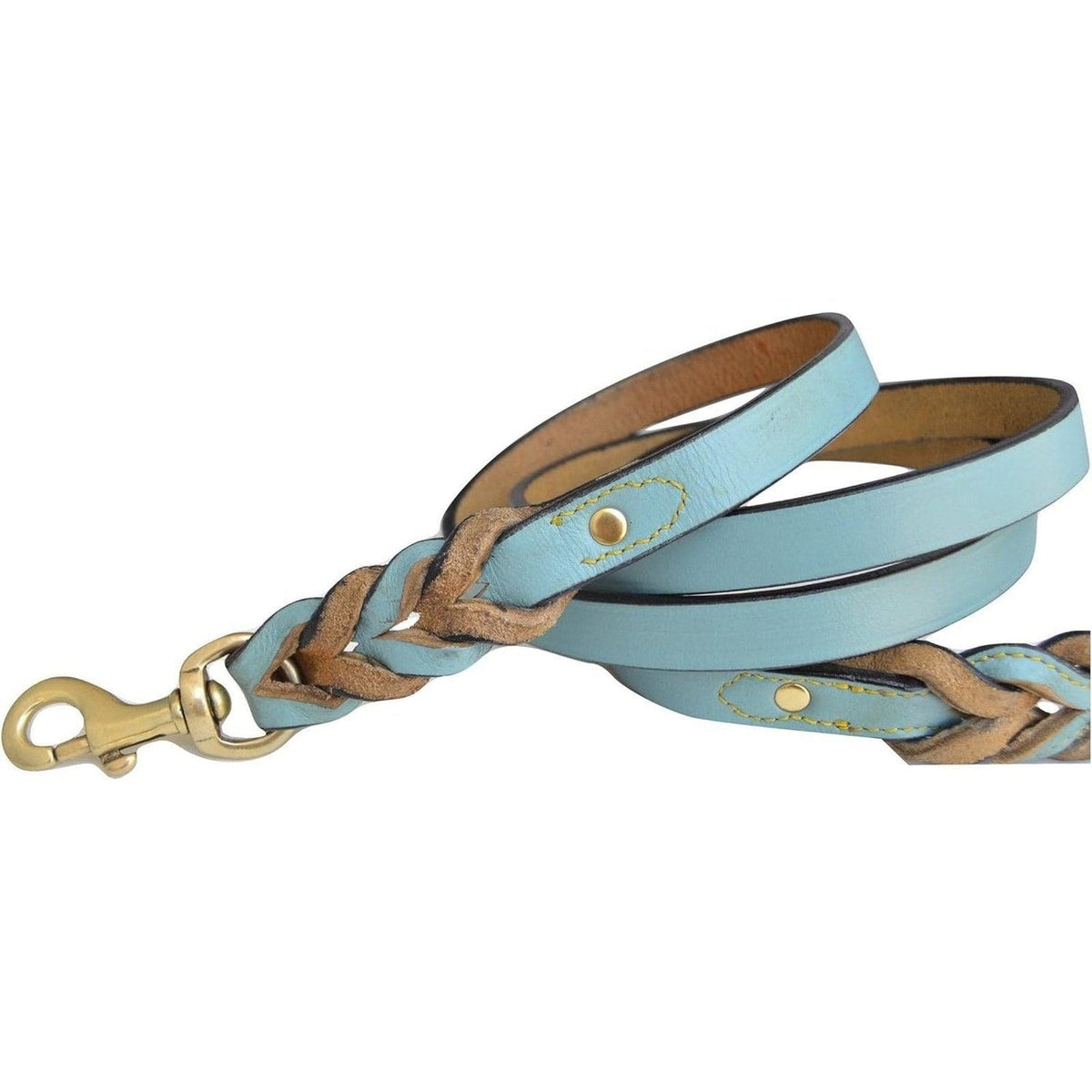 A close up of a 🐾 Chic & Durable Turquoise Braided Dog Leash 🌟 from Pets Paradise.