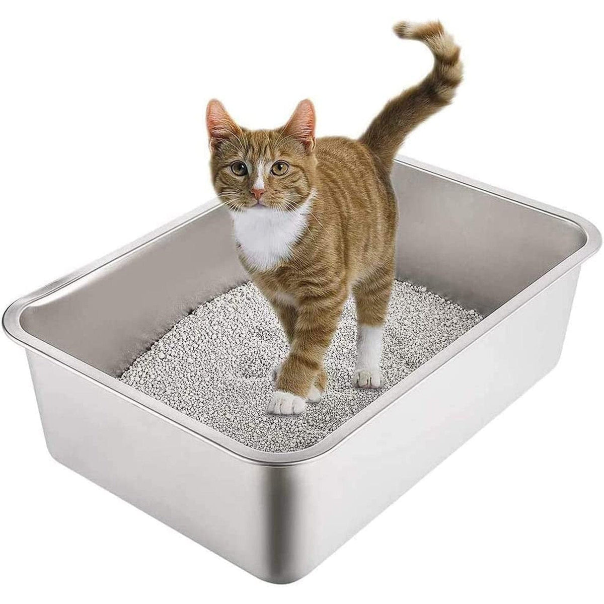🐱 Durable Stainless Steel Cat Litter Box 📦 Medium:19.8*13.8in Pets Paradise Pet Supplies
