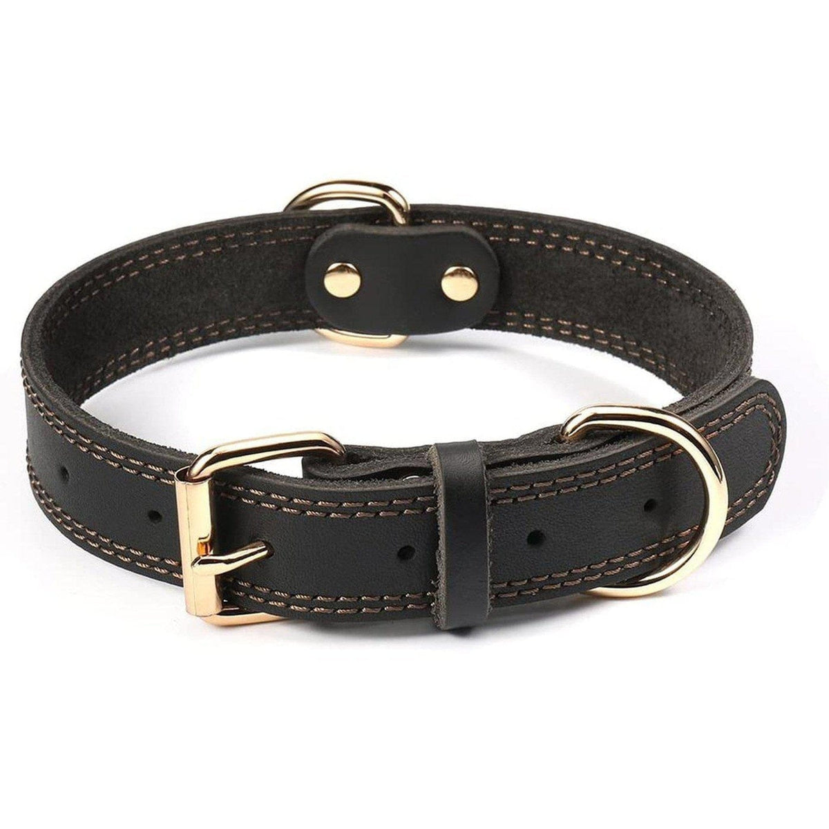 A black Pets Paradise genuine leather heavy duty luxury dog collar.