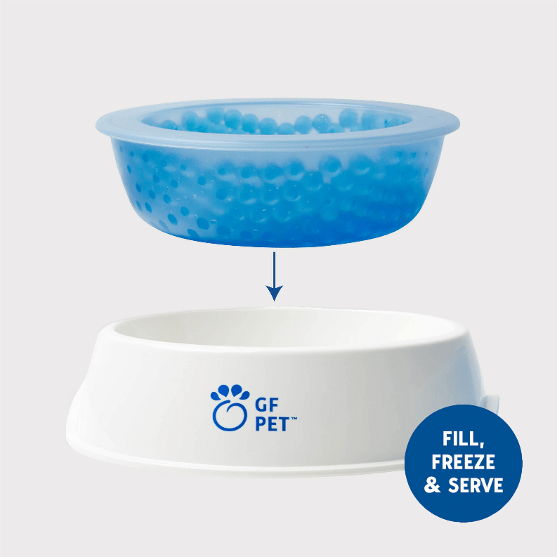 🐾 GF Pet Chill-Out Ice Bowl 🧊