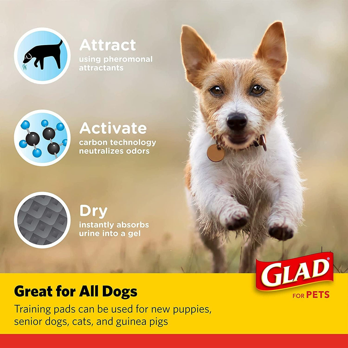 Glad for Pets Black Charcoal Puppy Pads | Puppy Potty Training Pads That ABSORB & NEUTRALIZE Urine Instantly | New & Improved Quality Puppy Pee Pads, 50 Count