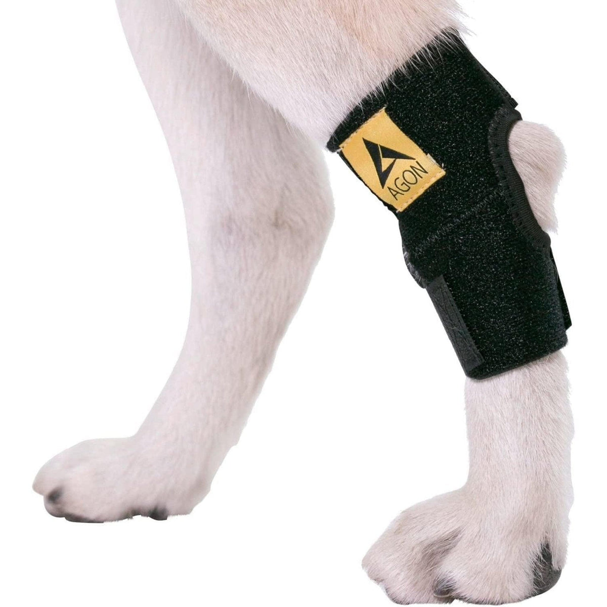 🐶 Injury & Arthritis Dog Brace Compress Wrap 🩹 Small Pets Paradise Pet Supplies