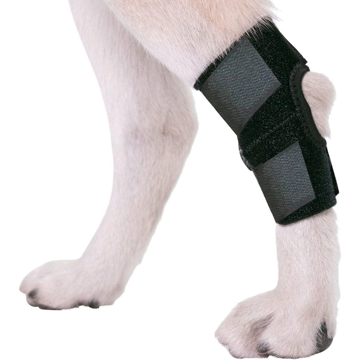 🐶 Injury & Arthritis Dog Brace Compress Wrap 🩹 Small Pets Paradise Pet Supplies