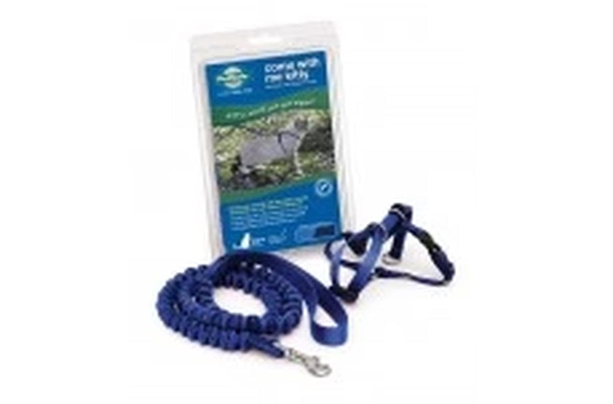 Premier Come with Me Kitty Harness & Bungee Leash Combo Royal Blue/Navy 1Ea/Sm