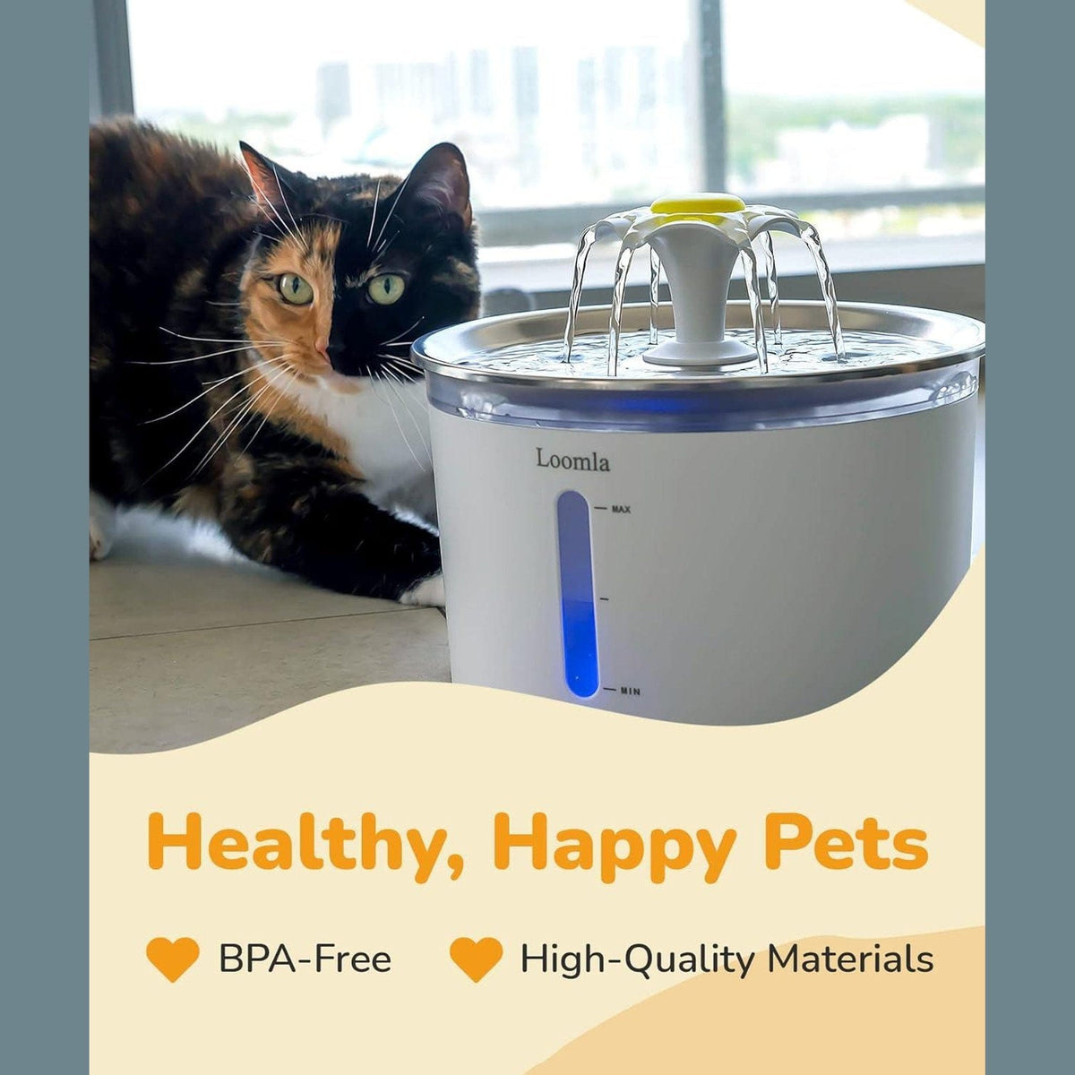 🐱 Premium Automatic Large Cat Water Fountain 🌊 Stainless Steel / Stainless Steel Pets Paradise Pet Supplies