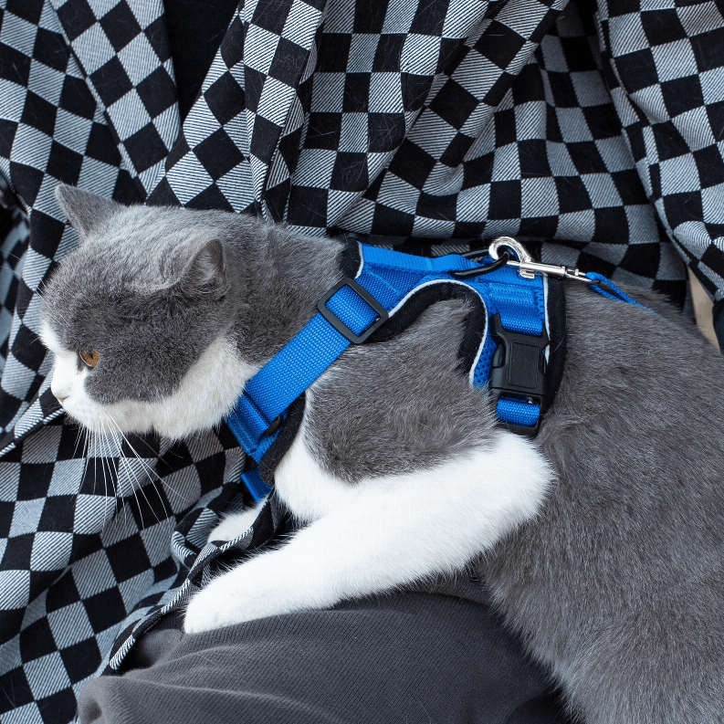 🐱 PurrTrek Reflective Cat Harness & Leash 🌈