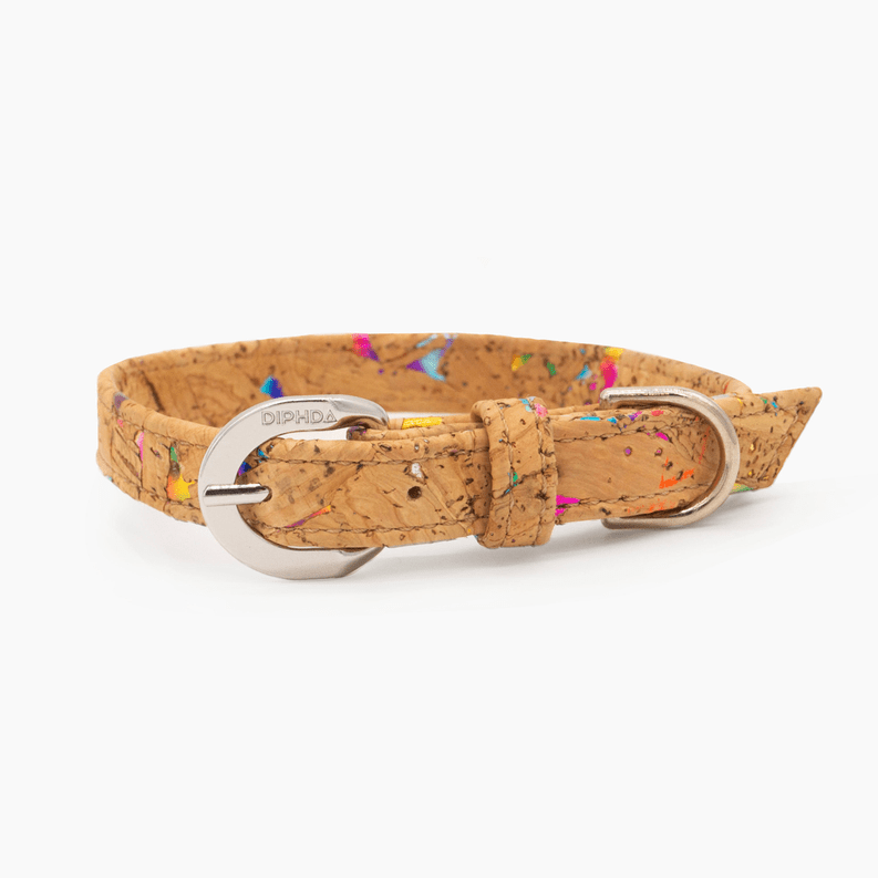 A Pets Paradise Cork Leather Dog Collar 🐶 with a rainbow paint splatter design, embodying LGBTQ+ pride, and featuring a metal buckle.