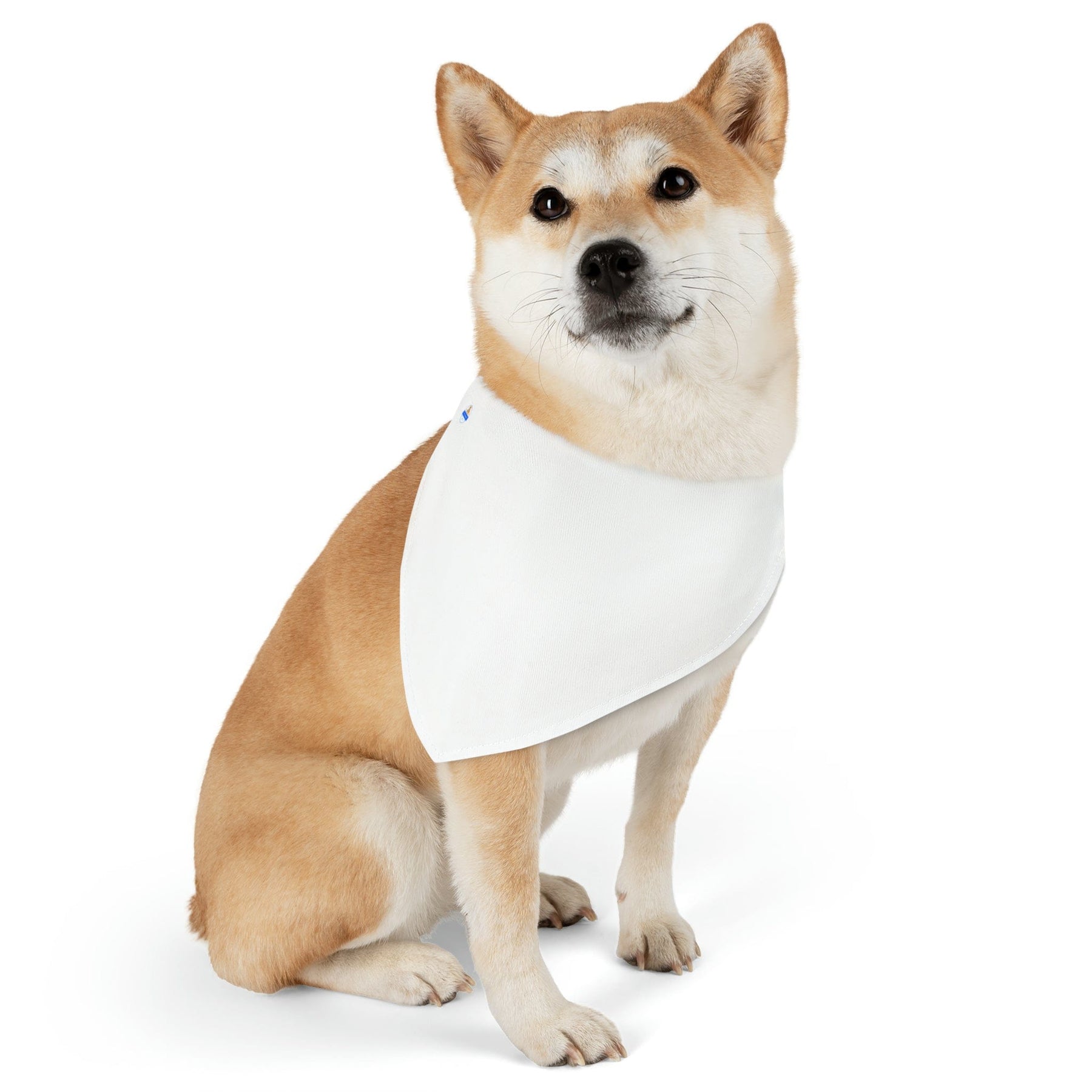 🐶 Stylish Paws Dog Bandana Collar 🧣